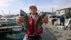 まこと渡船 釣果