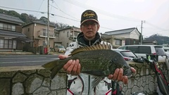 まこと渡船 釣果