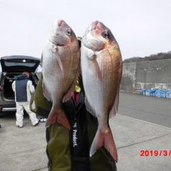 大進丸（新潟） 釣果