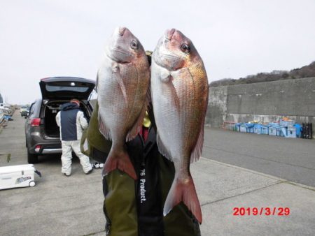 大進丸（新潟） 釣果