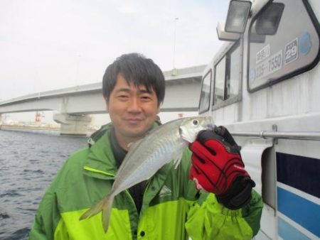 あい川丸 釣果