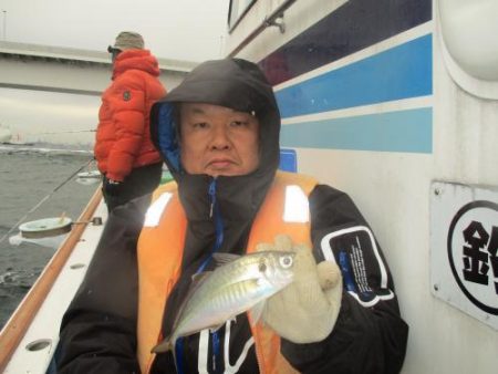 あい川丸 釣果