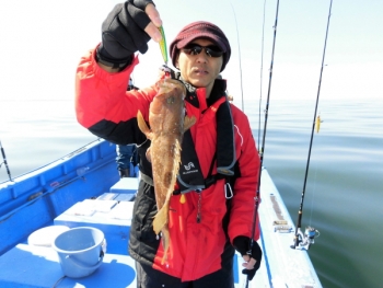 鯛紅丸 釣果