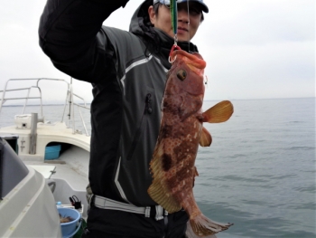 鯛紅丸 釣果