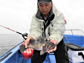 鯛紅丸 釣果