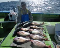 久里浜黒川本家 釣果