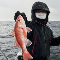 へいみつ丸 釣果