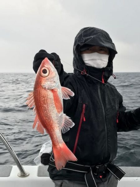 へいみつ丸 釣果