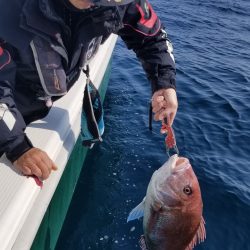 珀宝丸 釣果