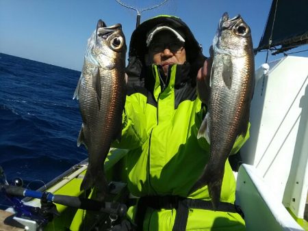 横内丸 釣果