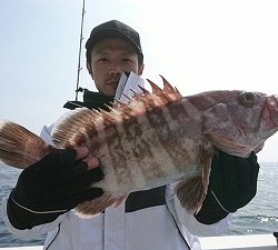 海龍丸（福岡） 釣果