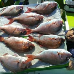 横内丸 釣果