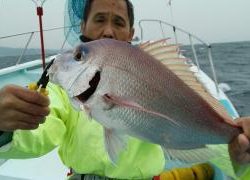 長栄丸(静岡) 釣果