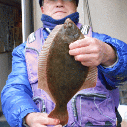 荒川屋 釣果