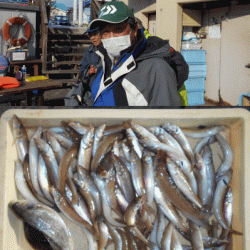 荒川屋 釣果