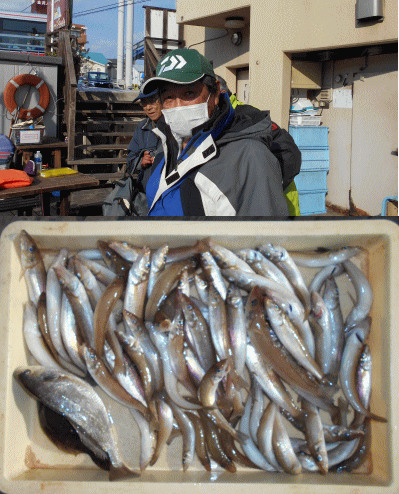 荒川屋 釣果