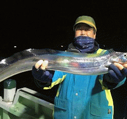 橋安丸 釣果