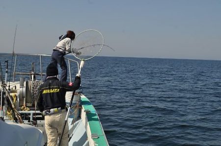 八海丸 釣果