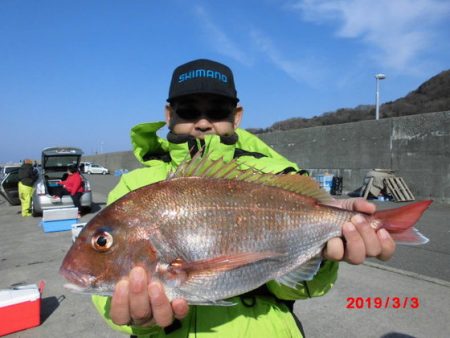 大進丸（新潟） 釣果