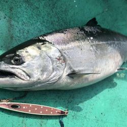 広進丸 釣果