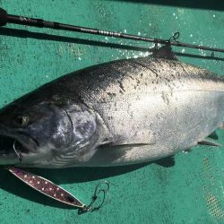 広進丸 釣果