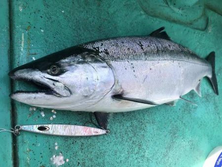 広進丸 釣果