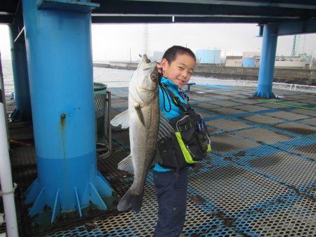 オリジナルメーカー海づり公園(市原市海づり施設) 釣果