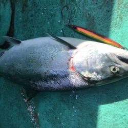 広進丸 釣果