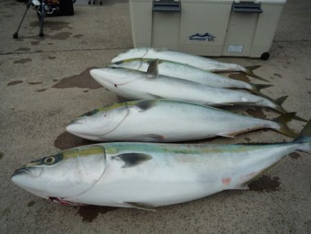 浅間丸 釣果