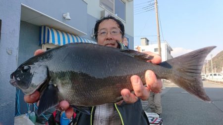 伊豆下田フィッシング 釣果