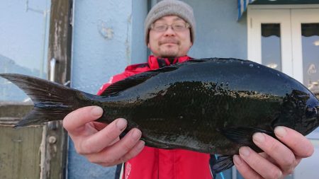 伊豆下田フィッシング 釣果