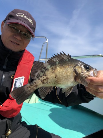 千宝丸 釣果