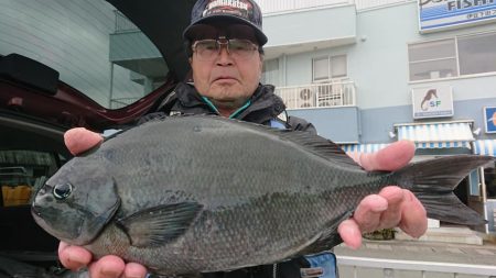 伊豆下田フィッシング 釣果