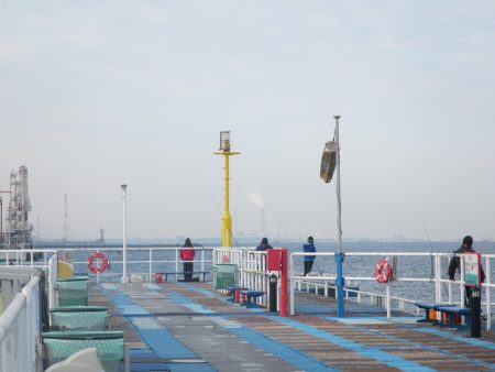 オリジナルメーカー海づり公園(市原市海づり施設) 釣果