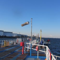 オリジナルメーカー海づり公園(市原市海づり施設) 釣果