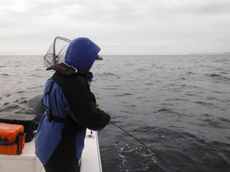 開進丸 釣果