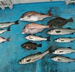 フィッシングガイド りょう 釣果