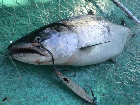 広進丸 釣果