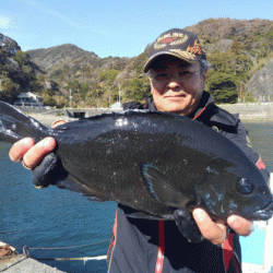 宮島丸 釣果