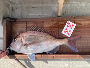 白墨丸 釣果