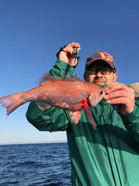 へいみつ丸 釣果