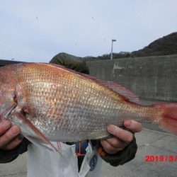 大進丸（新潟） 釣果