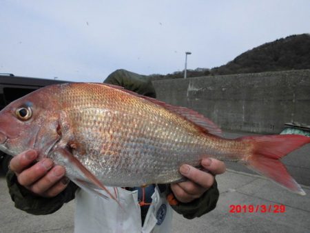 大進丸（新潟） 釣果