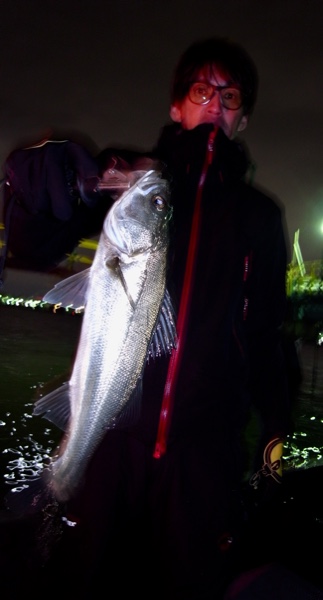 シーマジカル 釣果