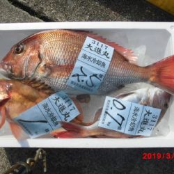 大進丸（新潟） 釣果