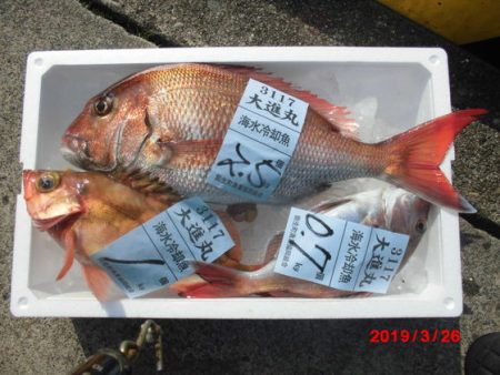 大進丸（新潟） 釣果