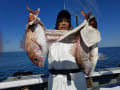 里輝丸 釣果