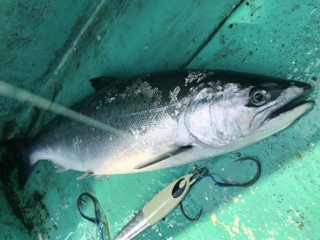 広進丸 釣果