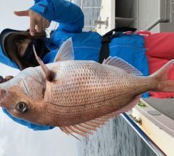 白墨丸 釣果