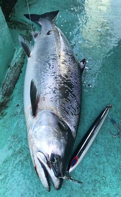 広進丸 釣果